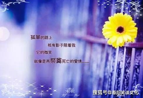 句子,情是,能量