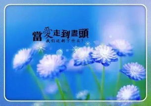 正能量的句子經(jīng)典語句,志愿者正能量的句子經(jīng)典語句,追星正能量的句子經(jīng)典語句