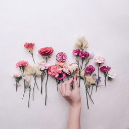 熱愛(ài)生活正能量的句子短句,熱愛(ài)生活熱愛(ài)運(yùn)動(dòng)正能量的句子,熱愛(ài)生活熱愛(ài)美食正能量的句子