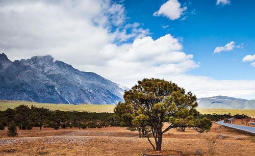 堅(jiān)持不放棄的正能量句子