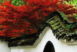 關(guān)與佛法的方面正能量句子