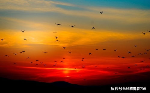 正能量情感勵(lì)志句子唯美,古風(fēng)正能量唯美句子,單身正能量唯美句子