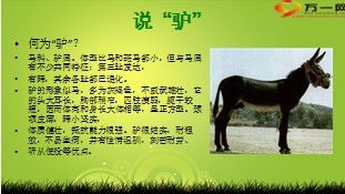 句子,能量,早會正