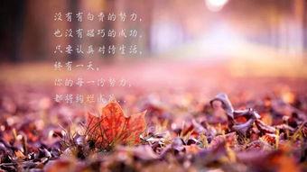 長(zhǎng)句,子說(shuō),能量,心情