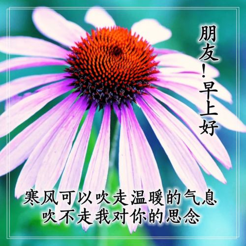 寒冬,句子,描寫,能量