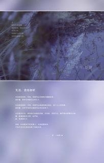 安靜的正能量句子