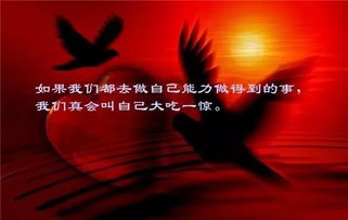 句子,能量,委屈,內(nèi)心