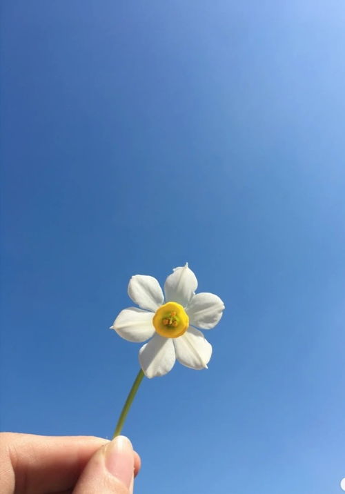 句子,語句,能量,每日