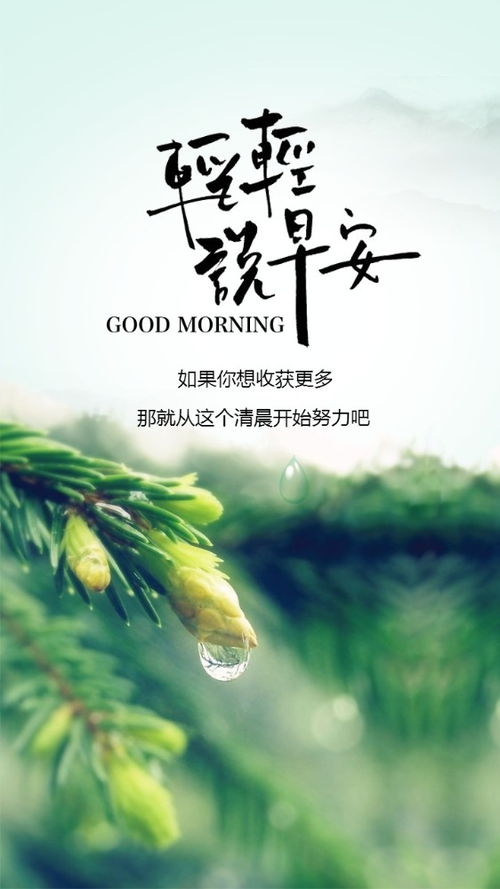 句子,百度搜索,能量,人生感悟