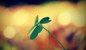 句子,能量,努力,學(xué)習(xí)