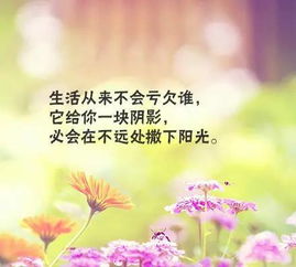 句子,勵志,寫給,能量