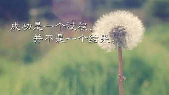 早安正能量句子短句,秋天正能量的句子經(jīng)典短句早安,早安正能量句子勵志短句