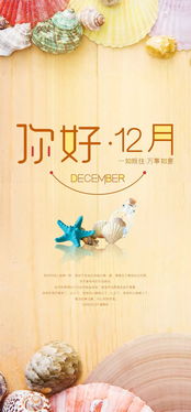 描寫12月的正能量句子