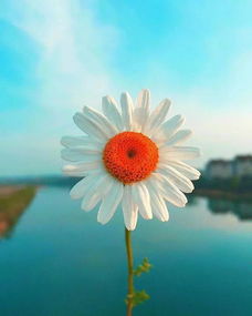 看透人情冷暖的句子,世間百態(tài)人情冷暖句子,早安正能量句子和