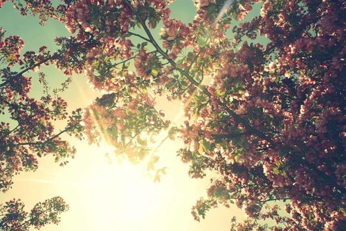 正能量的句子簡(jiǎn)短文藝