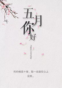 今日勵志語錄正能量句子,早晨勵志語錄正能量句子,創(chuàng)業(yè)勵志語錄正能量句子