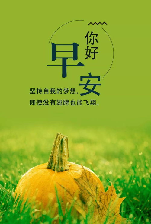 發(fā)朋友圈早安的句子正能量短句,發(fā)朋友圈早安的正能量句子和,早安的朋友圈句子大全正能量