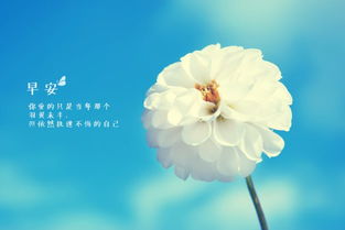 早安幽默正能量的句子說說心情,早安正能量的句子說說2021年,霸氣正能量的早安說說句子