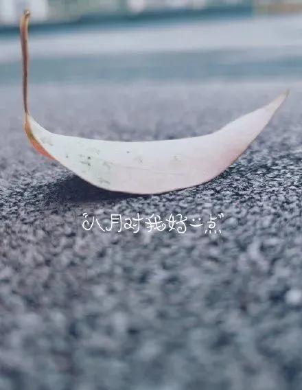 八月散發(fā)正能量的句子,八月正能量的句子經(jīng)典語句,每天一段正能量的句子