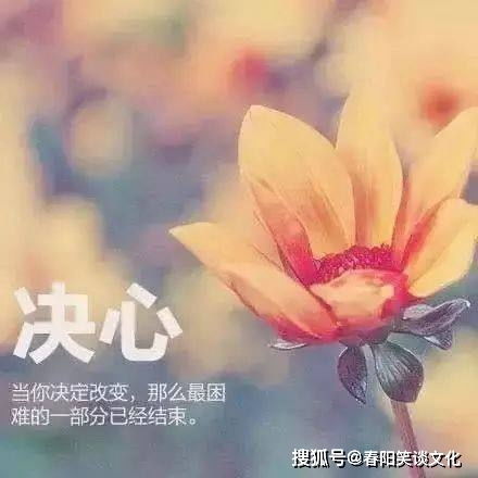 句子,個(gè)性簽名,能量,青春