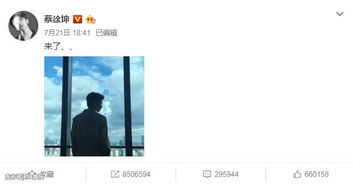 關(guān)于蔡徐坤正能量的句子