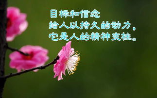 句子,能量,國家