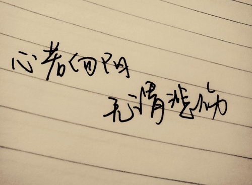 超越和蛻變的正能量句子,熱愛祖國正能量的句子,陽光正能量的句子