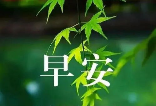 和優(yōu)秀的人同行正能量的句子