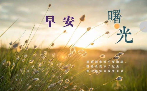 充滿正能量的句子5月份