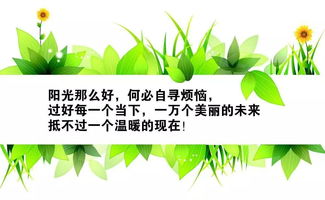 句子,能量,話語,鼓勵