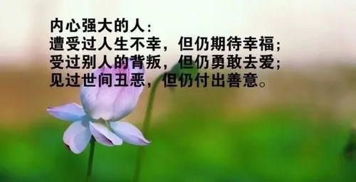 正能量句子勵(lì)志短句子,正能量句子勵(lì)志短句子朋友圈,正能量句子短句子朋友圈