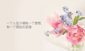 句子,能量,活著,開心