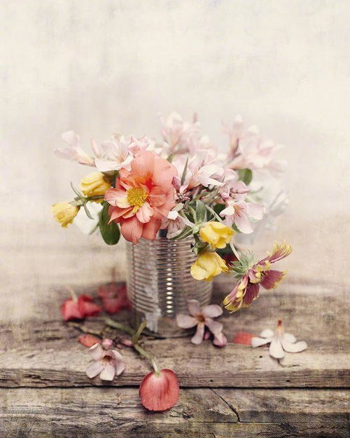 激勵上進正能量句子,勵志有上進心的正能量句子,有戰(zhàn)馬兩字,勵志有上進心的正能量短句