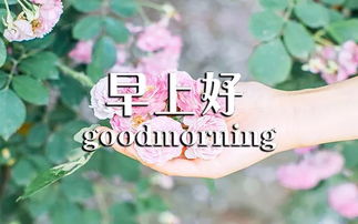 正能量經(jīng)典句子早安語錄經(jīng)典