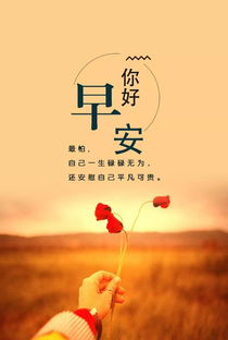 節(jié)日的正能量句子