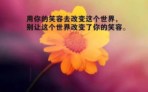 工作感悟正能量句子,餐飲行業(yè)感悟辛苦正能量句子,靜心感悟生活正能量句子