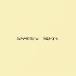 句子,能量,事件,網(wǎng)絡(luò)