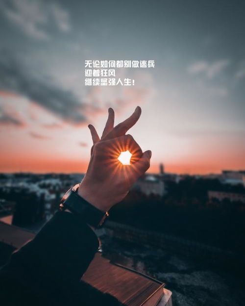 治愈系的正能量的句子