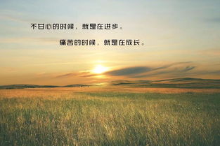 簡(jiǎn)短,句子,勵(lì)志,中學(xué)生