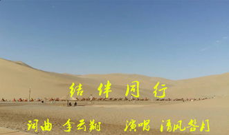 結(jié)伴,句子,能量,同行