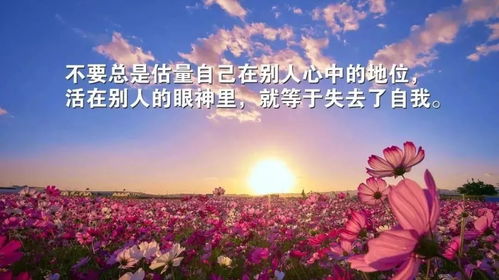 感恩生活的句子正能量詩(shī)句大全