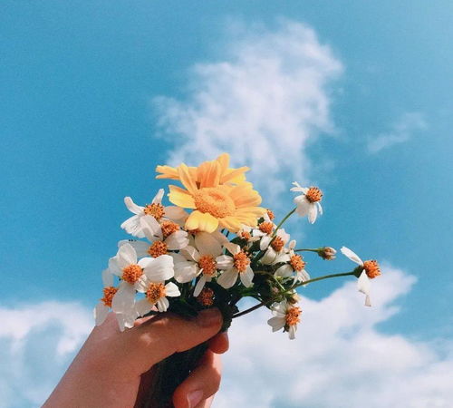 陽光睿智努力的正能量句子,關(guān)于堅持的正能量句子,懂得感恩的正能量句子