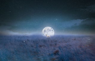 初中生積極向上正能量的句子,初中生正能量的句子經(jīng)典語句,初中生勵志積極正能量的句子