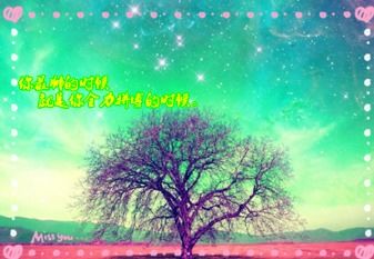 越努力越優(yōu)秀的正能量句子,努力優(yōu)秀的正能量短句,努力優(yōu)秀的正能量句子100字