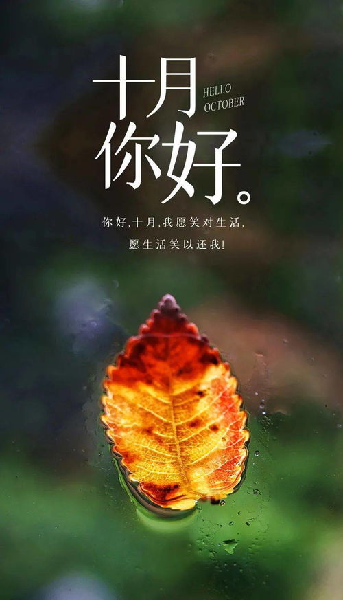 句子,語句,女神,能量