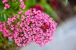 人生積極樂觀正能量句子簡(jiǎn)短