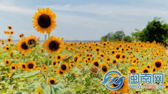 八月再見九月你好的正能量句子