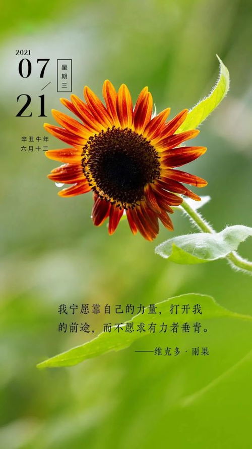 三觀超正的句子,三觀正正能量的句子,正能量三觀正的人