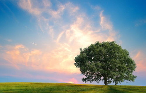 英語(yǔ),句子,能量,鼓勵(lì)