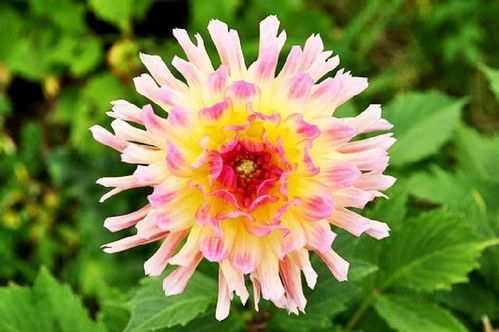 句子,滿滿,能量,收獲